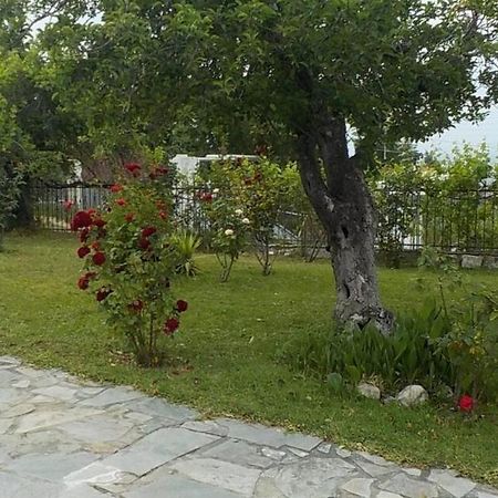 Katerina'S Holiday Home Kriopigi Bagian luar foto